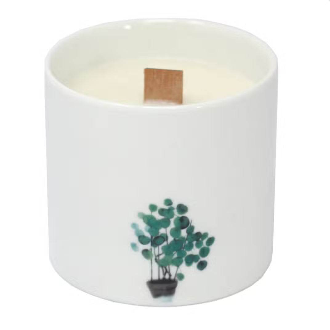 Große Sojawachs Kerzen im 3er Set - Sumpfveilchen - 3xBotanical Wooden Wick Soy Candle - Hauttempel