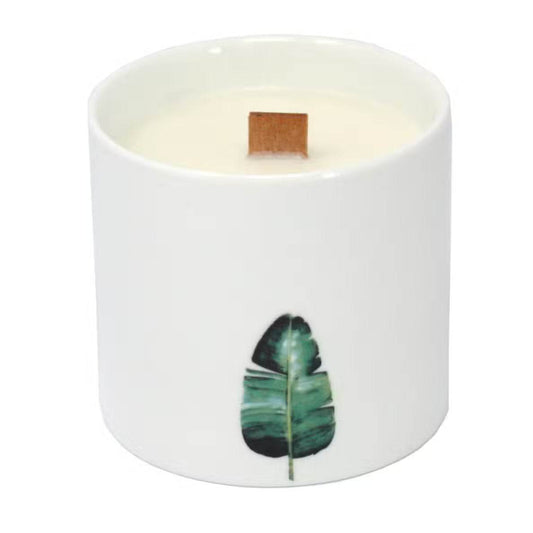 Große Sojawachs Kerzen im 3er Set - Sumpfveilchen - 3xBotanical Wooden Wick Soy Candle - Hauttempel