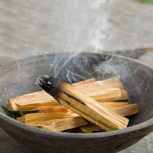Palo Santo Holzstäbchen 100g - 10-15 Sticks - Green Tree Palo Santo - Hauttempel