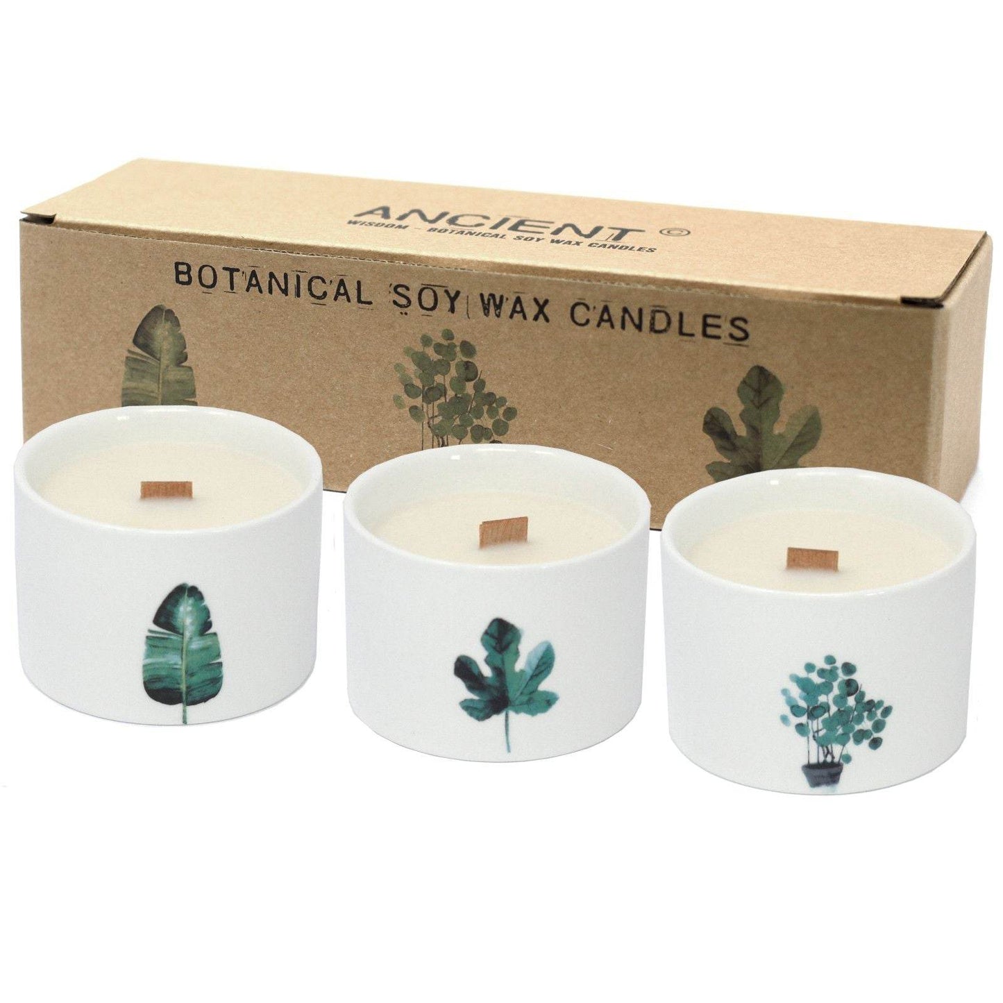Mittlere Sojawachs Kerzen im 3er Set - Mulberry Harvest - 3xBotanical Wooden Wick Soy Candle - Hauttempel