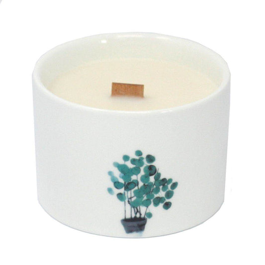 Mittlere Sojawachs Kerzen im 3er Set - Mulberry Harvest - 3xBotanical Wooden Wick Soy Candle - Hauttempel