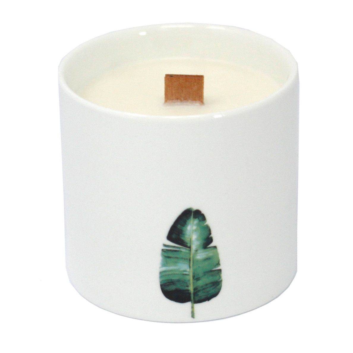 Große Sojawachs Kerzen im 3er Set - Wilder Jasmin - 3xBotanical Wooden Wick Soy Candle - Hauttempel