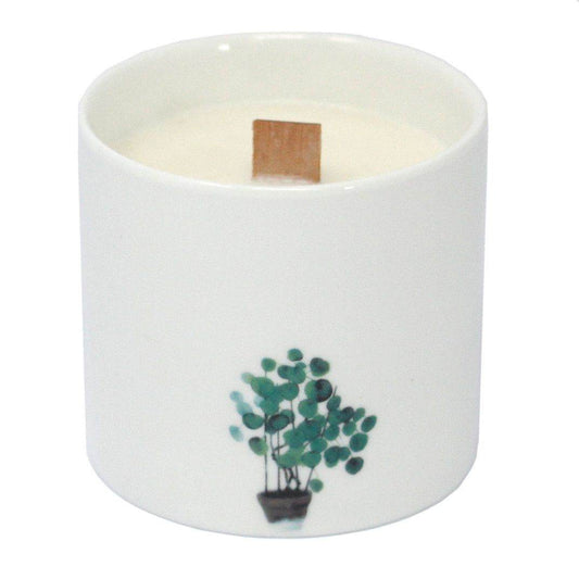 Große Sojawachs Kerzen im 3er Set - Wilder Jasmin - 3xBotanical Wooden Wick Soy Candle - Hauttempel