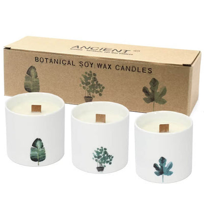 Große Sojawachs Kerzen im 3er Set - Sumpfveilchen - 3xBotanical Wooden Wick Soy Candle - Hauttempel