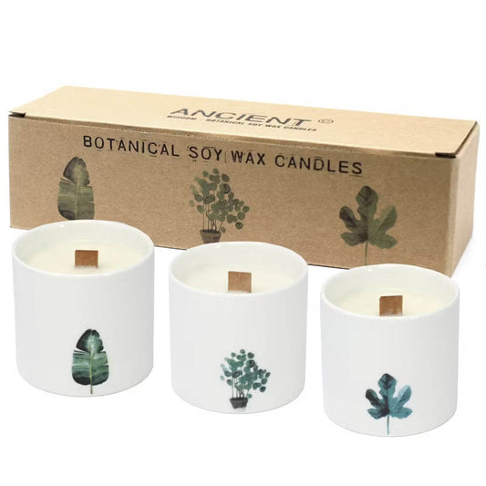 Große Sojawachs Kerzen im 3er Set - Sumpfveilchen - 3xBotanical Wooden Wick Soy Candle - Hauttempel