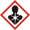 Gefahrensymbol
