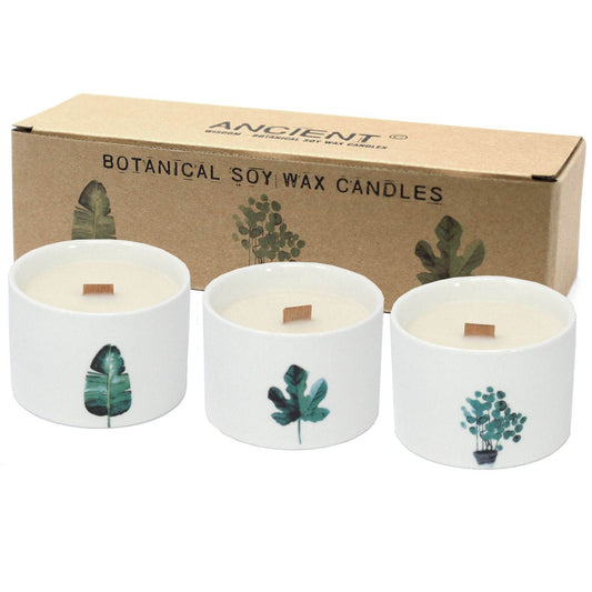 Mittlere Sojawachs Kerzen im 3er Set - Japanischer Garten - 3xBotanical Wooden Wick Soy Candle - Hauttempel
