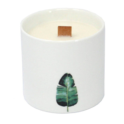 Große Sojawachs Kerzen im 3er Set - Wilder Jasmin - 3xBotanical Wooden Wick Soy Candle - Hauttempel