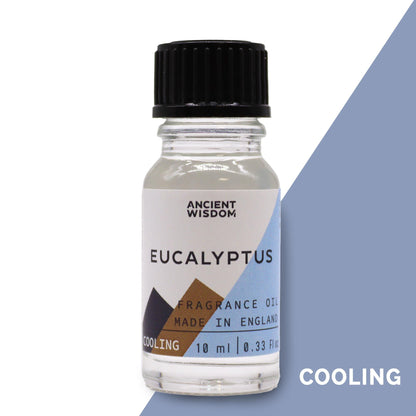 AW Raum-Duftöle - COOLING - 10ml - Eukalyptus
